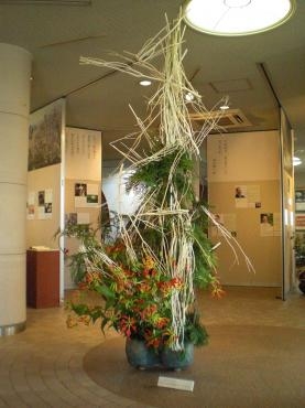 半田山植物園 開園５０周年記念企画展 今日からです 花屋ブログ 岡山県岡山市北区の花屋 不二花店にフラワーギフトはお任せください 当店は 安心と信頼の花キューピット加盟店です 花キューピットタウン